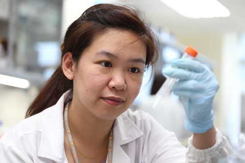 醣重組均相化抗體平臺技術(shù)及其創(chuàng)新產(chǎn)品cho-h01 醣重組均相化抗體新藥