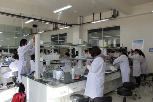 內蒙古大學生物科學入選教育部基礎學科拔尖學生培養(yǎng)計劃2.0基地