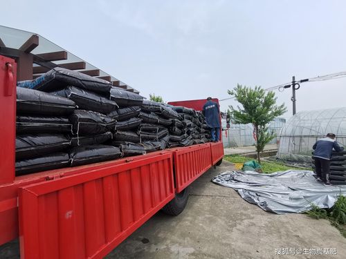 seek生物炭基肥助力國家重點(diǎn)研發(fā)計(jì)劃項(xiàng)目實(shí)施