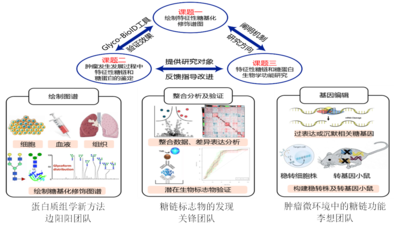 我校5人獲省杰青項(xiàng)目資助、4支團(tuán)隊入選省重點(diǎn)科技創(chuàng)新團(tuán)隊
