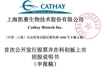 凱賽生物IPO:存在安全生產(chǎn)風(fēng)險,曾深陷專利糾紛,票據(jù)流轉(zhuǎn)、轉(zhuǎn)貸等違規(guī)不斷