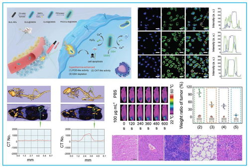 學校獲多項黑龍江省科學技術獎