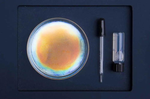 生物紡織研究 跨領(lǐng)域設(shè)計師們繼續(xù)給你帶來綠色靈感